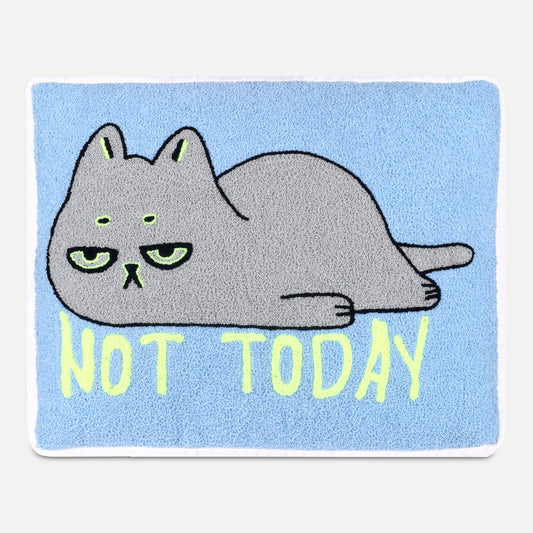 Not Today Lazy  Cat Cushion