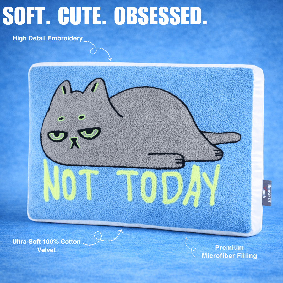 Not Today Lazy Cat Cushion - House of Youth
